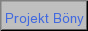 Projekt B&ouml;ny